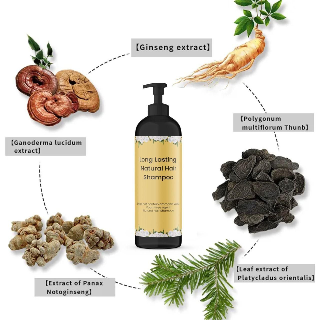 Natural Hair Dye Shampoo - Easy Gray Coverage & Color Refresh (50ml x 2)